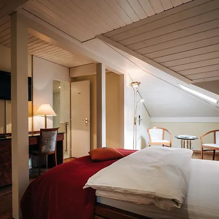 Hotel Krone Thun