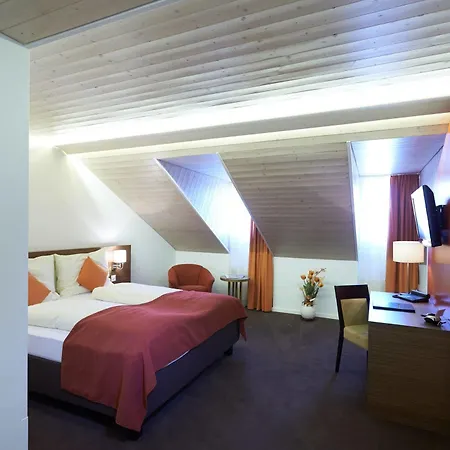 Hotel Krone 4*